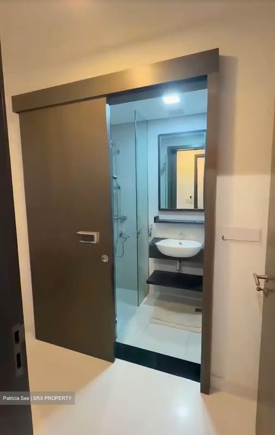 The Rise @ Oxley (D9), Condominium #587551361